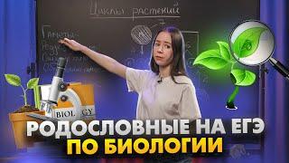 Родословные ЕГЭ: универсальный алгоритм решения