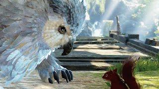 Owlbear vs Squirrel in Balder's Gate 3...