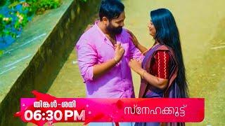 Snehakkoottu Promo || 17-11-2024 || Episode 88 || Asianet