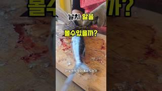 날치 알~먹어는 봤는데 실제로 날치알을 볼수있을까? #남해 #날치알 #손질 #제철생선 #fish #바다 #생선