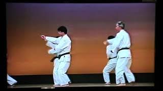 Ryuko 龍虎 (リュウコ) (Dragon Tiger) kata Okikukai Uechi ryu Karate do / demonstration Okikukai members