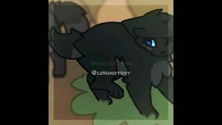 #котывоители #catswarriors #огнезвезд #warriorcats #пепелица