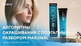 Алгоритмы окрашивания с поэтапным разбором Marjinal