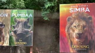 Wildlife Express to Conservation Station - Disney’s Animal Kingdom