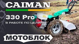 Мотоблок Caiman 330 Pro с дифференциалом в работе по целине