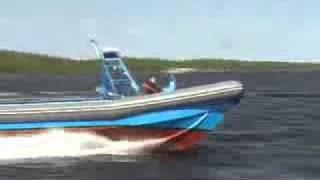 РН900 РИБ RN900 RIB boat