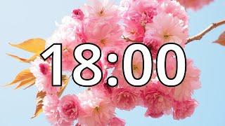 18 Minutes Timer with Music | Cherry Blossom Timer