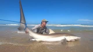 HUGE Dusky Shark from the Beach! Overnight PINS Shark Fishing Trip