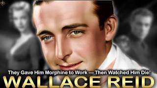 Hollywood's Buried Drug Scandal: The Shocking Truth Behind the Death of Superstar Wallace Reed