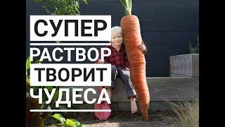 Супер раствор творит чудеса