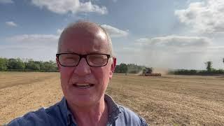 Harvesting Organic Vetches Harvest 2021 with Claas Convio Flex