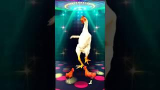 Chicken Dance  (Remix) #rooster #chicken #song