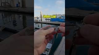 Bass Can’t Resist This Combo 