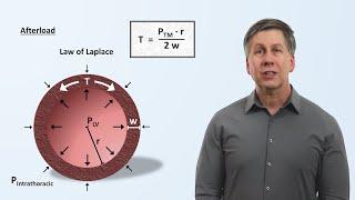 Cardiac Mechanics (preload, afterload, contractility, ejection fraction, and cardiac output)