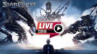 25.03.03(월) 【 인피쉰 생방송 다시보기 】 스타 빨무 스타크래프트 Starcraft