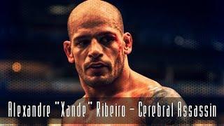 Alexandre "Xande" Ribeiro - Cerebral Assassin