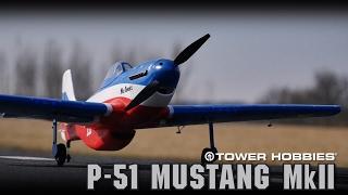 Tower P-51 Miss America : Raw Performance