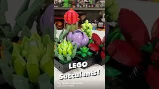 LEGO Succulents! Love this new LEGO Botanicals Collection Set. Speed Build and Review Coming Soon!