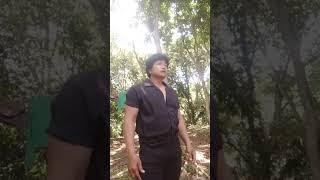 komandir
