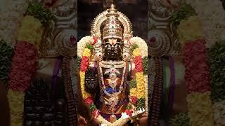 Divine Evening Aarti of Tirupati Balaji  | Peaceful Darshan in 4K #aarti #tirupatibalaji #bhakti