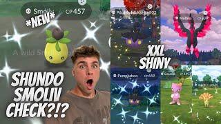 Shundo Smoliv Check in Pokemon Go, But Did We Get It?!