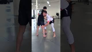 Lovato Learning The Back Sweep Ways - JFLO #judo