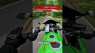 Deer Runs Straight Into Biker and Causes Serious Damage | @sr.burnsy on IG #motorcycle #crash #deer