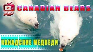 Breaking NEWS ! Russian off the coast of Canada!     Русские у берегов Канады !!! 