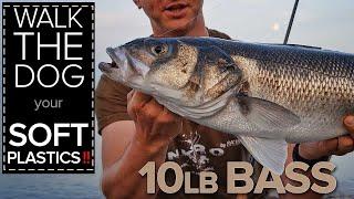 Double Figure Bass Caught on Camera!! Technique Explained. Seabass Fishing Ireland