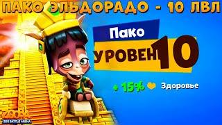 КАЧАЕМ АЛЬПАКУ ЭЛЬДОРАДО ПАКО НА 10 УРОВЕНЬ В ИГРЕ ZOOBA