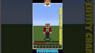 FAIL - What is Entity Cramming?#mcpe #minecraft #minecraftbedrock