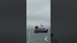 ‘Trump Chicken’ returns to San Francisco Bay