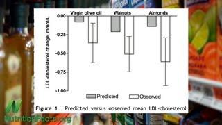 Extra Virgin Olive Oil vs. Nuts