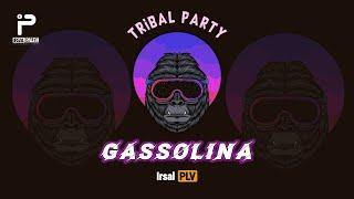 TRIBAL PARTY - GASSOLINA REMIX 2024 (Irsal Palevi)