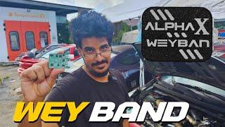 Para que sirven los Wideband? Leyendo la mezcla de aire y gasolina con el AlphaX Weyban!