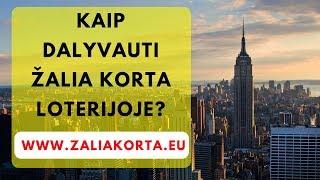 Kaip dalyvauti zalia korta loterijoje? Zalia korta 2019 video