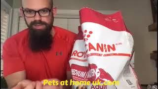 Royal Canin Medium Adult Dog Food Review: Is It Worth It?