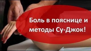 558 Боль в пояснице и суджок методы 08