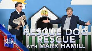 Rescue Dog Rescue with Mark Hamill
