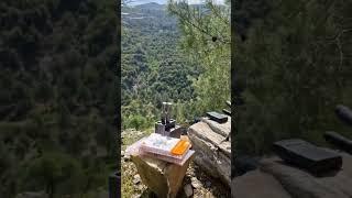 Reviving an iPhone in Nature | Epic Mobile Repair #Shorts