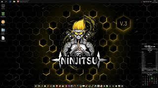 Ninjitsu OS v3  kali or windows?