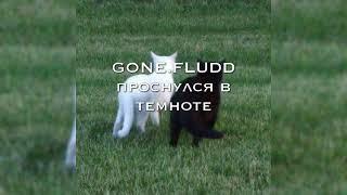 gone.fludd - проснулся в темноте|speed up