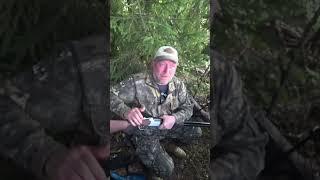 Командная работа в охоте на вяхиря #курцхаар #охота #hunting #охота2024