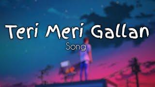 Teri Meri Gallan Hogi Mashhur song|| #terimerigallanhogimashhur #song #lofi #love 