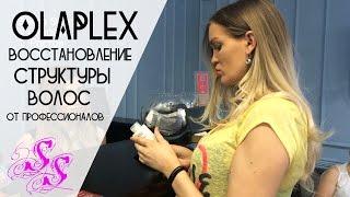 OLAPLEX восстановление волос!!! Поход в салон! Silena Sway