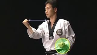 Taekwondo WTF Basic motions (Kukkiwon) Chapter 2  Makki Blocking