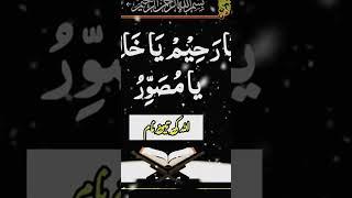 Quran ki best aayat#Shahnaz islamic #trending wazifa #Viralshorts#islamicprayer #bestdua #dua