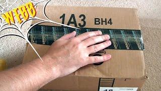 Quickie Action Figure Unboxing