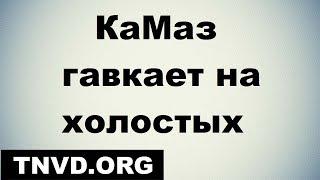 ТНВД КаМаз гавкает на холостых