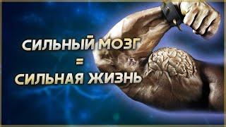 Сильный мозг = Сильная жизнь! Мотивация и Саморазвитие